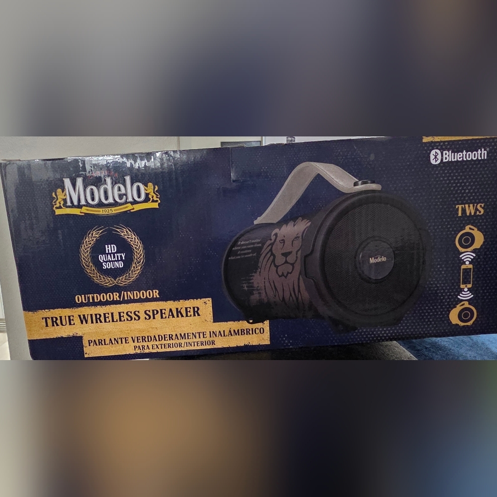 Portable Wireless Speaker with Lion Design - Black